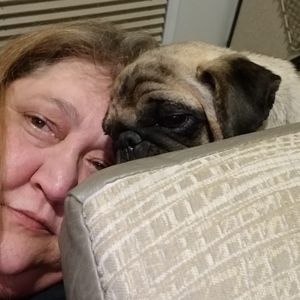 Meet your Posher, Wendy